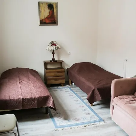 Vintage Style Spacious Apartment